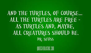 Dr Seuss Quote Dr Seuss Quotes Seuss Quotes Turtle Quotes