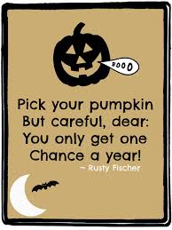 Pumpkin Patch A Halloween Poem Halloween Poems Halloween Rhymes Halloween Books