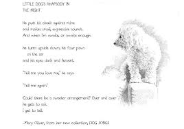 Mary Oliver Lil Dog Dog Poems Mary Oliver Poems Mary Oliver