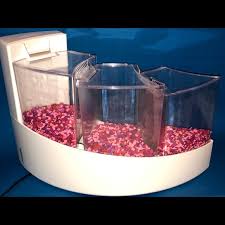 Betta fish is known for its beautiful colors. Other Aqueon Betta Falls Tank Supplies Poshmark