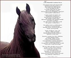 Horse Quotes And Poems Quotesgram Horses Horse Poems Horse Quotes