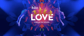 Cirque Du Soleil Performance Cut Short After Acrobat S Fall