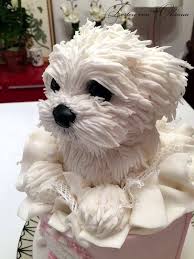 Magnifique Gateau Realiste Bichon Maltais Gateaux En Forme De Chien Gateau Chien Gateau En Forme De Chien