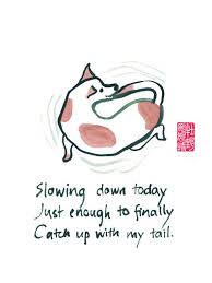 Items Similar To Zen Humor Dog Greeting Cards Set Of 6 Blank Cards Catching Up With My Tail On Etsy Haiku Poems Examples Haiku Poetry Haiku Poems