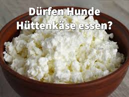 Huttenkase Fur Hunde Schonkost Bei Durchfall Oder Ungesunde Laktose In 2020 Hundefutter Selber Kochen Lebensmittel Essen Hunde Ernahrung