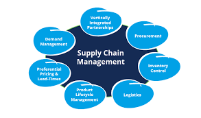 Skills Required For Logistics And Supply Chain Professionals Supply Chain Management Global Supply Chain Management Supply Chain