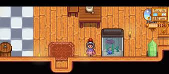 You Can Put Hats On The Sea Urchins In The Fish Tank Stardewvalley