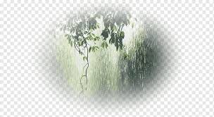 Mit dieser trendigen naturtapete zieht der. Regen Monsun Kondensation Regenzeit Sturm Regen Ast Wolke Computer Tapete Png Pngwing