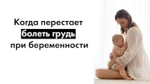 Kogda Perestaet Bolet Grud Pri Beremennosti Na Rannih Srokah Dolzhna Nedelya Www Wday Ru