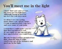 All Dogs Go To Heaven Dog Loss Quotes Death Of A Pet Pet Loss Quotes