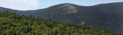 La Montagne Noire Gites De France