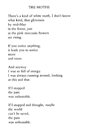 The Moths Mary Oliver Poem Poetry Mary Oliver Poems Poetry Words Prose Poetry