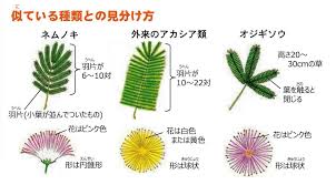対象種詳細 環境省