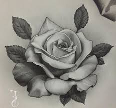 Tattoos And Body Art Rose Tattoo Design Art Tattoo Rose Flower Tattoos Realistic Rose Tattoo Rose Drawing Tattoo