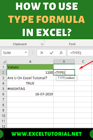 How To Use Type Formula In Excel Microsoft Excel Tutorial Excel Tutorials Excel