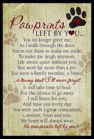 Pin By Lise O Brien On Rainbow Bridge Pet Loss Grief Sympathy Quotes Pawprints Left By You