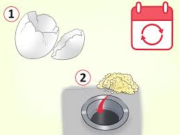 bad smell out of a garbage disposal