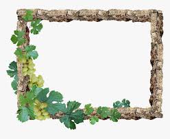Frame Border Rustic Wood Grapes Rustic Border Hd Png Download Transparent Png Image Pngitem Download and use them in your website, document or presentation.