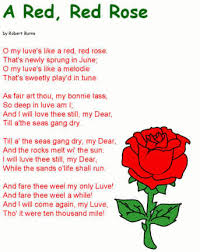 A Red Red Rose Poem In 2021 Rose Poems Robert Burns Love Poems