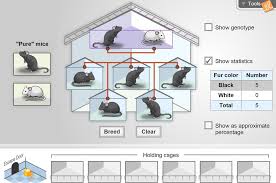 Mouse genetics one traits gizmo answer key. Mouse Genetics One Trait Gizmo Lesson Info Explorelearning