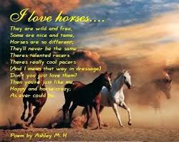 Pin By Riley Kohler On Country Lovin Horse Poems Horse Smiling Horse Crazy