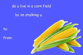 Corn Stalking You Funny Offensive Valentines Day Cards Valentines Memes Meme Valentines Cards Funny Valentines Cards