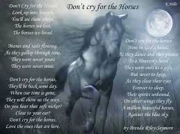 Horse Poem Horse Poems Horse Riding Quotes Inspirational Horse Quotes