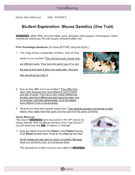 Experiment with different combinations of parent mice. Mousegeneticssescience