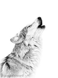 Graphite Drawings Graphite Drawings Animal Drawings Wolf Drawing