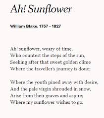 Ah Sunflower William Blake Imagery Poems William Blake Poems Blake Poetry