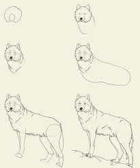 How To Draw Wolf Animal Drawings Wolf Drawing Drawings