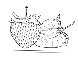 Picture aneka gambar mewarnai gambar mewarnai buahbuahan dalam ini dipetik dari blog berikut : Gambar Buah Hitam Putih Untuk Diwarnai