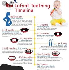 Pin By Rachael Johnson On Kids Baby Teeth Baby Gums Baby Health