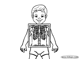 Our free coloring pages for adults and kids, range from star wars to mickey mouse. Kid Xray Coloring Page