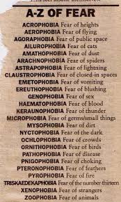 Phobias Xenophobia Definition Is A Bit Simplistic Yes Strangers But Also More Towards The Fear Of Foreigners Usually Used Soc Words Writing Words Phobias