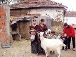 Viele junge menschen sehen im kosovo keine wirtschaftliche zukunft und wollen nur eines: Kosovo Roma Und Aschkali Ohne Zukunft