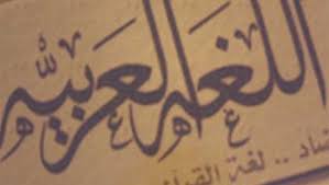 تعرفوا على طرائف اللغة العربية علم وعالم