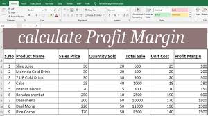 Calculate Profit Margin With Percentage In Excel By Learning Center In U Learning Centers Excel Tutorials Learning