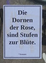 German Quote Poem Beautiful Quote Love Rose Flower German Quotes Poems Beautiful Words