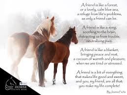 Friends Horses Horse Wallpaper Horse Quotes