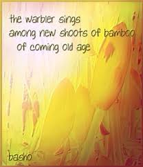 Pin By Carol Elder On Poetry Haiku Poems Japanese Poetry Haiku