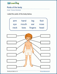 We have 15+ free body worksheets for kids for you to choose from and kids will enjoying learning about the different parts of the human body. Parts Of The Body Worskheet K5 Learning