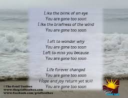 The Grief Toolbox Gone Too Soon Too Soon Gone Too Soon Quotes