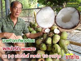 วุ้นหน้ากะทิ สูตรขนมไทย เมนูวุ้น ชวนทำ วุ้นหน้ากะทิ เช่น วุ้นกะทิใบเตย วุ้นกะทิมะพร้าวอ่อน วุ้นกะทิอัญชัน วิธีทำไม่ยาก แค่. à¸¡à¸°à¸à¸£ à¸²à¸§à¸à¸°à¸ à¸à¸§à¸à¸£ à¸­à¸¢ à¸à¸¥à¸ à¸²à¸£ à¸ à¸à¸­à¹à¸«à¸¡à¸²à¸° à¸à¸ 3 5 à¹à¸à¸­à¸£ à¹à¸ à¸à¸ à¸£à¸²à¸à¸²à¸ à¸ 100 à¸à¸²à¸ à¸¥ à¸ à¹à¸ª à¸à¸à¸²à¸à¹à¸¨à¸£à¸©à¸
