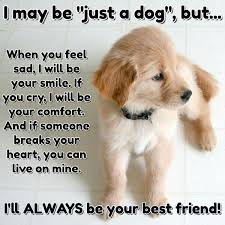 Pin By Lisa Novak On Puppies Dog Poems Dogs Dog Sympathy