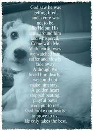 Bitsy 12 12 2014 Dog Poems Dog Loss Quotes Animal Quotes