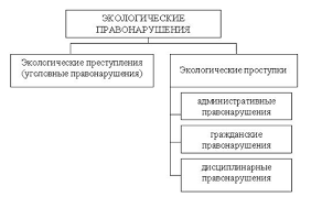 Vidy Ekologicheskih Prestuplenij I Nakazaniya 2021 God