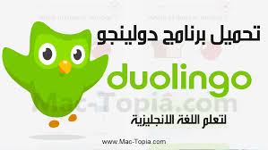 تحميل تطبيق دولينجو Duolingo أفضل برنامج تعلم اللغة الانجليزية للجوال مجانا ماك توبيا