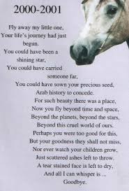 Short Horse Poems Or Quotes Please Arabianlines Com Forum Horse Poems Poems Horse Quotes