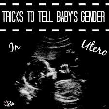 Find Out Baby S Gender In Utero 4 Ways To Tell Baby Gender Finding Out Baby Gender Sonogram Gender